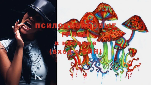 тгк Балахна