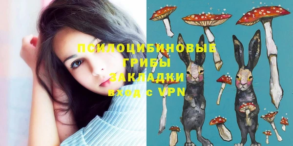 тгк Балахна